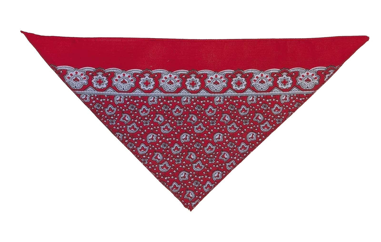 5556-95-paisley-rot
